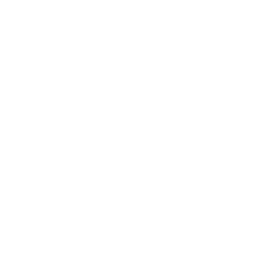 FlyingTurtle Logo (11/22/21)