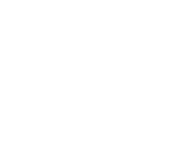 FlyingTurtle Logo (6/19/23)